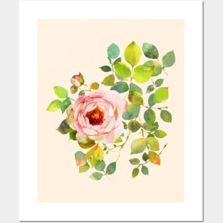 SINGLE CLIMBING ROSE WITH BUD WATERCOLOR FLOWERS Posters and Art